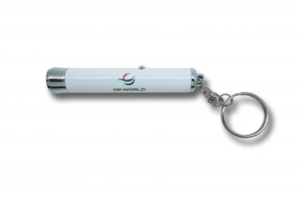 Mini projector torch
