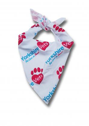 Dog bandana