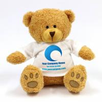 Printed Promotional 22cm Soft Toy Edward Bears