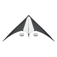 Delta kite