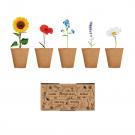 Flowers - Flowers Growing Kit