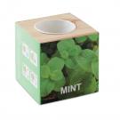 Menta - Herb Pot Wood Mint
