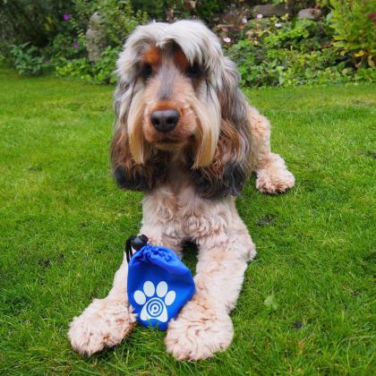 Dog Treat Bag