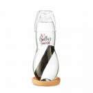 Personal Carafe - black blum