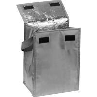 Cooler Bag