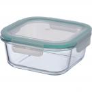 Glass container with lid. suitable for microwave and freezer