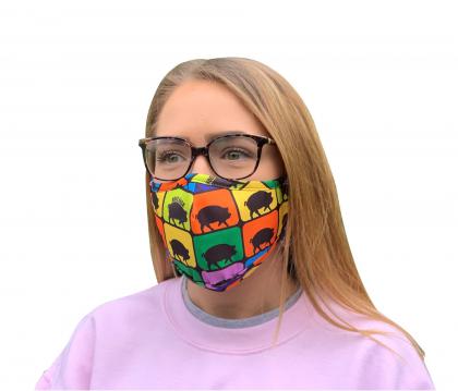 PREMIER 3ply FACEMASK (non surgical)