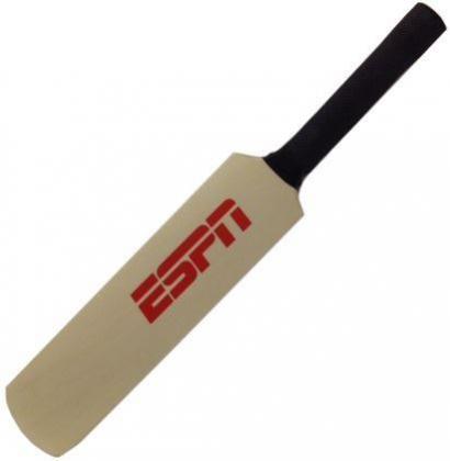 Mini 12 Inch Cricket Bat