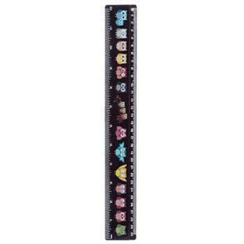 30 cm Ruler