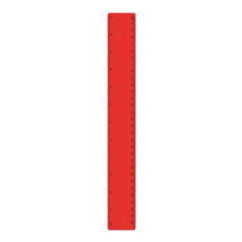 30 cm Ruler