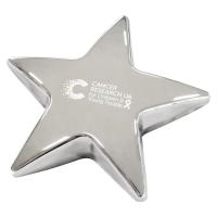 Star Metal Paperweight Award