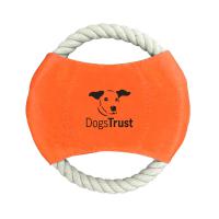 Dog Frisbee