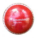 Mini Cricket Ball