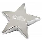Star Metal Paperweight Award
