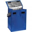 Cooling bag San Juan