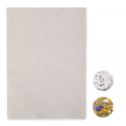 Asidi - A4 Wildflower Seed Paper Sheet