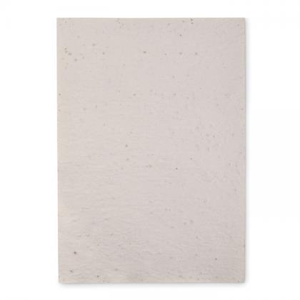 Asidi - A4 Wildflower Seed Paper Sheet