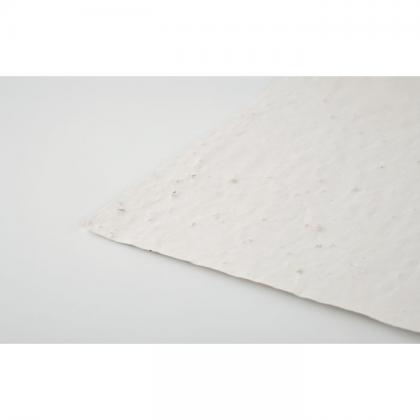 Asidi - A4 Wildflower Seed Paper Sheet