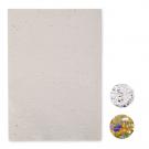 Asidi - A4 Wildflower Seed Paper Sheet