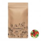 Fresa Kit - Strawberry Growing Kit