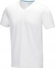 Kawartha short sleeve men's organic V-neck t-shirt