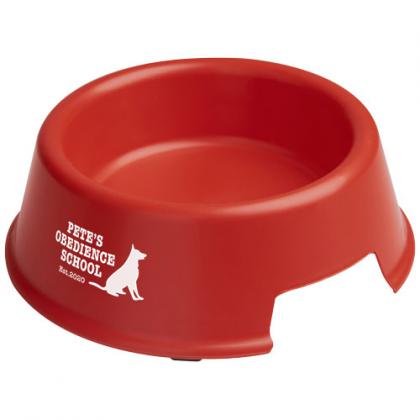 Koda dog bowl