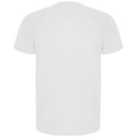 Imola short sleeve men's sports t-shirt