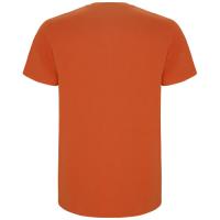 Stafford short sleeve men's t-shirt