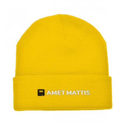 Antarctica hat