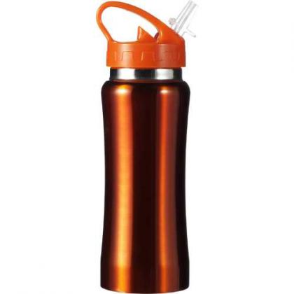 Stainless steel single walled drinking bottle (600ml)