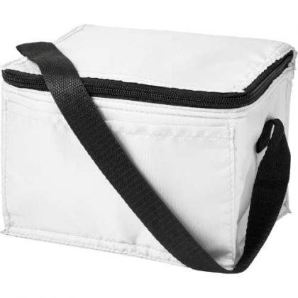 Cooler bag