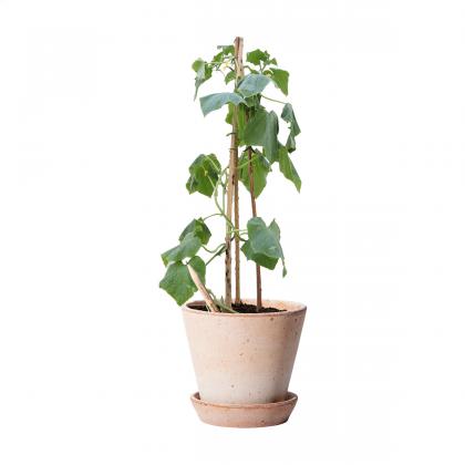 Sproutworld Sharpened Pencil