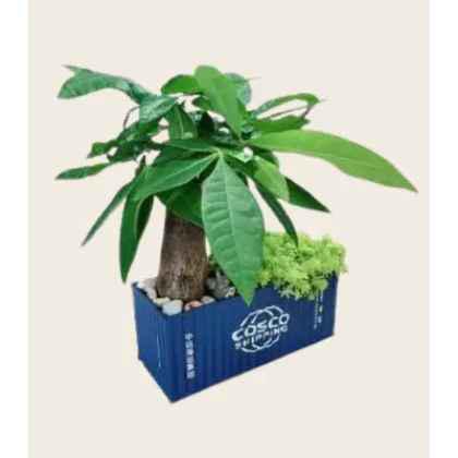 Container Flower Pot