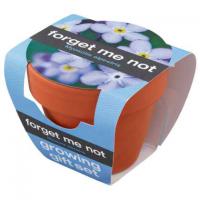 Green & Good Tiny Terracotta Pot