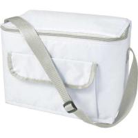 Cooler bag