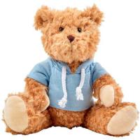 Plush teddy bear with hoodie