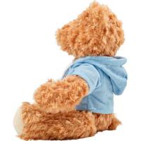 Plush teddy bear with hoodie