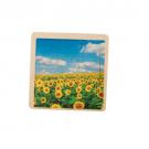 Wooden nine piece puzzle