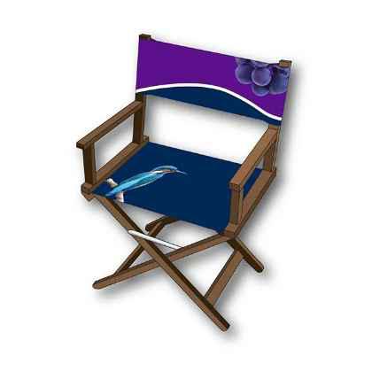 Director Chair