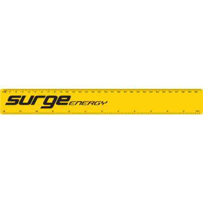 30cm/12 Inch Ruler Yellow