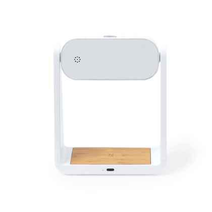Multifunction Alarm Clock Darret