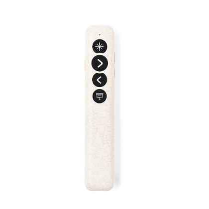 Presenter Laser Pointer Lesi
