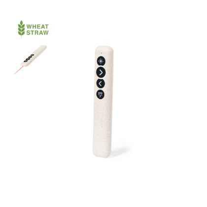 Presenter Laser Pointer Lesi