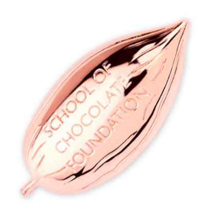 Stand-out Metal Custom 3D Die Cast Badges