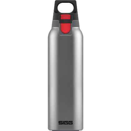 Thermo Flask Hot & Cold ONE Light Brushed 0.55 L