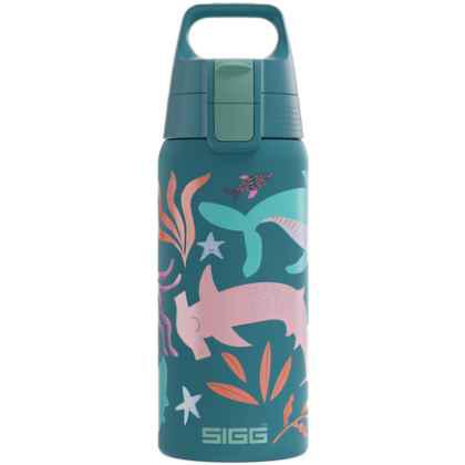 Water Bottle Shield Therm ONE Blue World 0.5 L