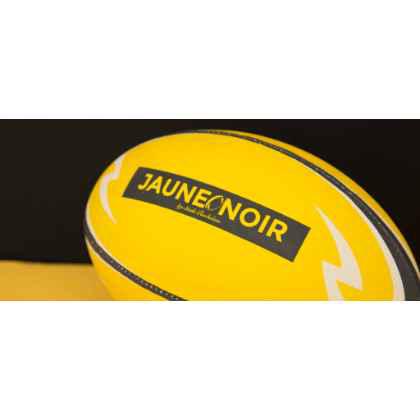 Stade Rochelais