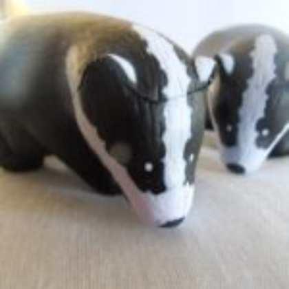 Animals
