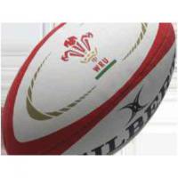 Supporter Balls