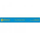 30cm/12 Inch Ruler Light Blue
